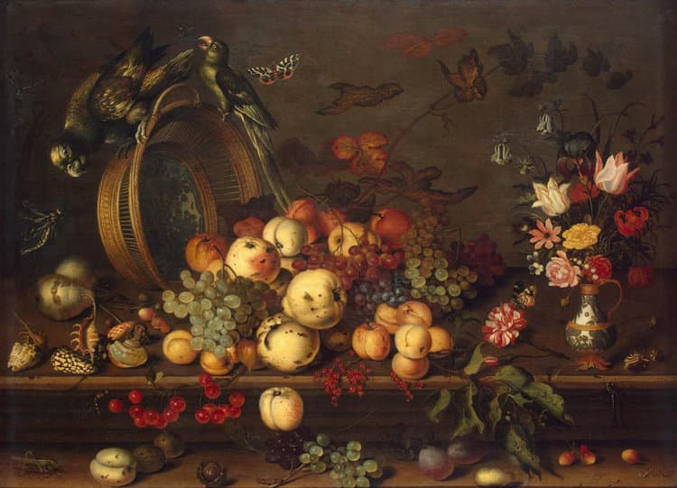 Still life with Fruit,Balthasar van der Ast,50x36cm