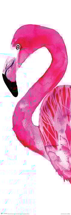 Sofie Rolfsdotter - Flamingo