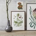 Miniatyrbild 2 av 2: Poster Blomsteräng