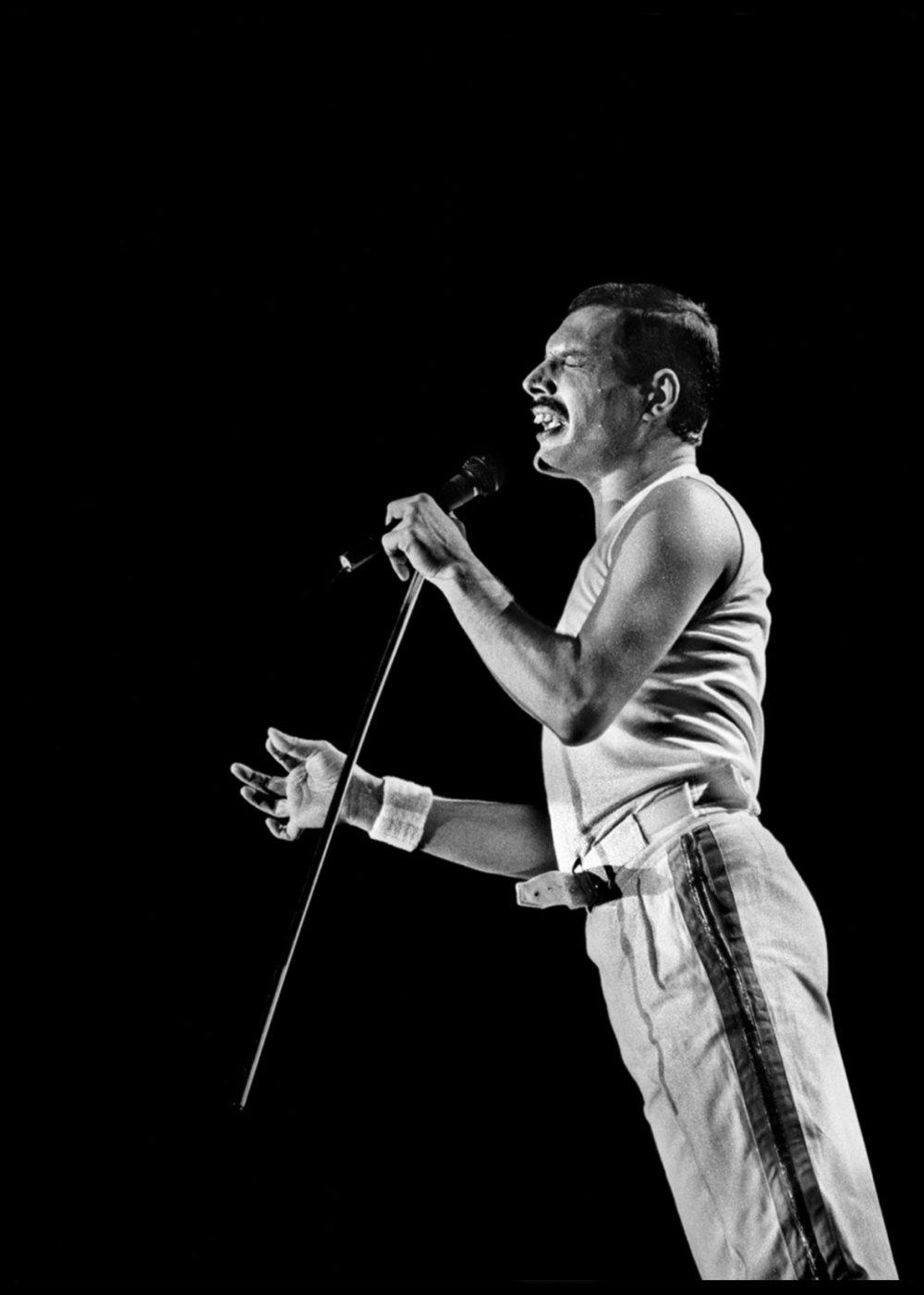 FREDDIE MERCURY POSTER