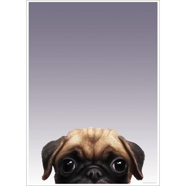 Inquisitive Creatures Pug Poster Grey/Brown One Size