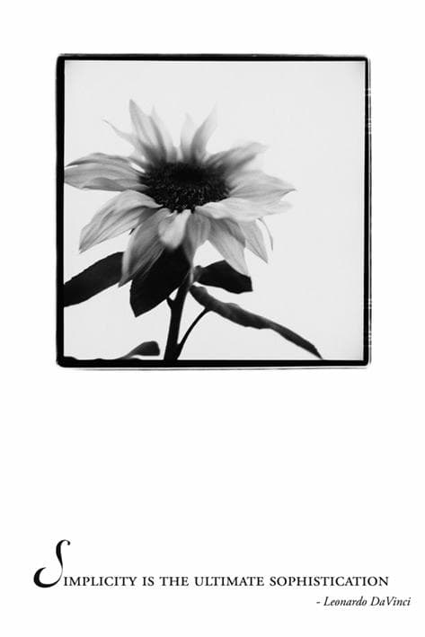 Simplicity is the ultimate sophistication - Leonardo DaVinci