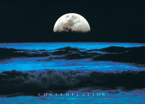 Contemplation