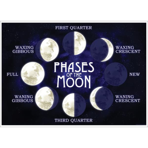 Grindstore Moon Phases Mini Poster Black/White One Size