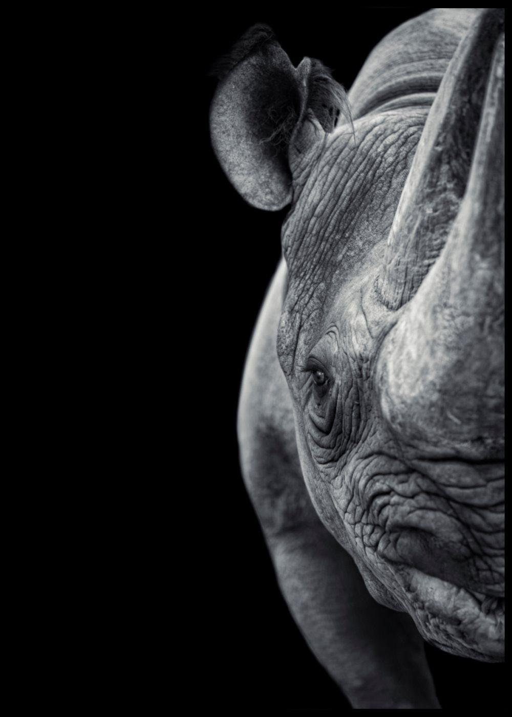 Rhino Poster