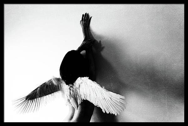 Fly Plakat