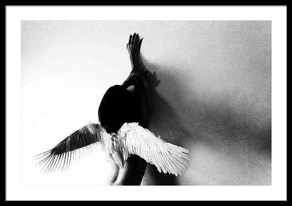 Fly No2 Plakat