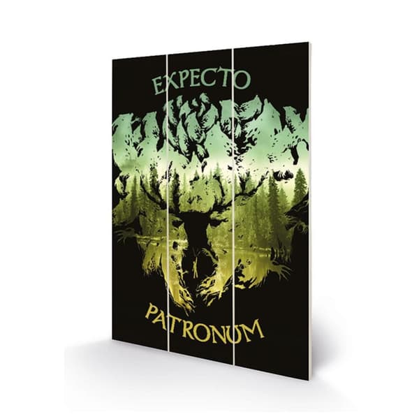 Harry Potter Trä Expecto Patronum Print Black/Green One Size