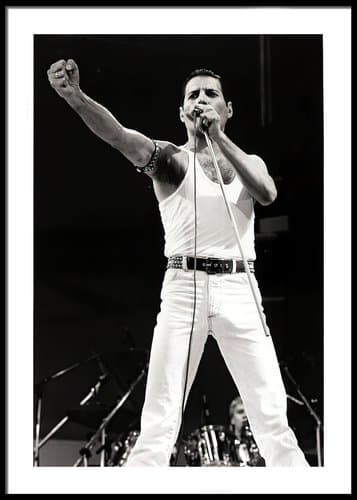 Freddie Mercury No4 Poster 30x40cm