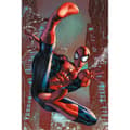Miniatyrbilde 1 av 2: Spider-Man Web Sling Poster