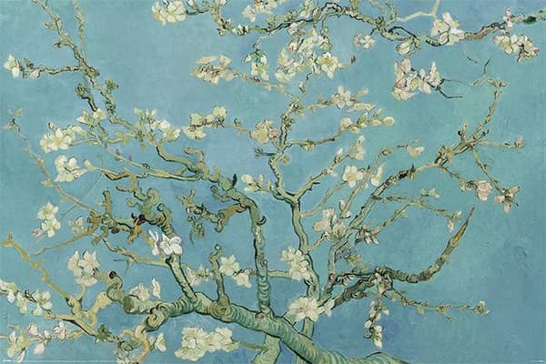 Van Gogh (Almond Blossom)