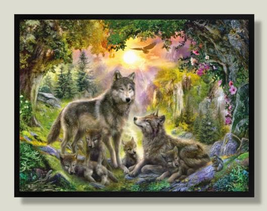 Poster - Summer Wolf Family (Natur, Djur)