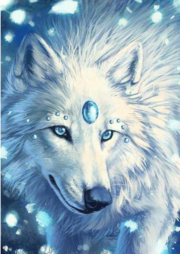 Diamond Painting Fyrkantiga Pärlor 50x70 cm 5D DIY Djur Varg