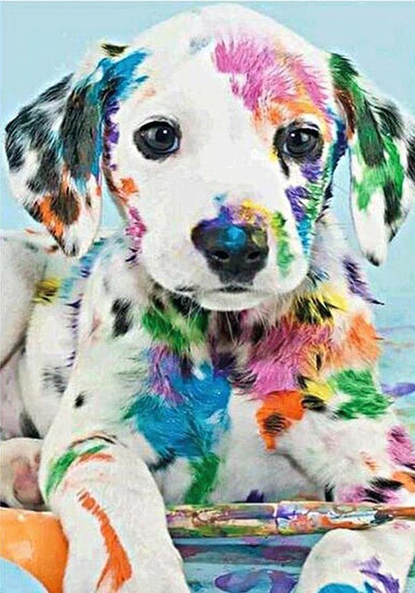 Diamond Painting Fyrkantiga Pärlor 50x70 cm 5D DIY Hund Dalmatin