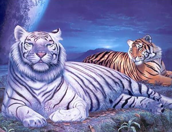 Diamond Painting Fyrkantiga Pärlor 50x70 cm 5D DIY Djur Tiger