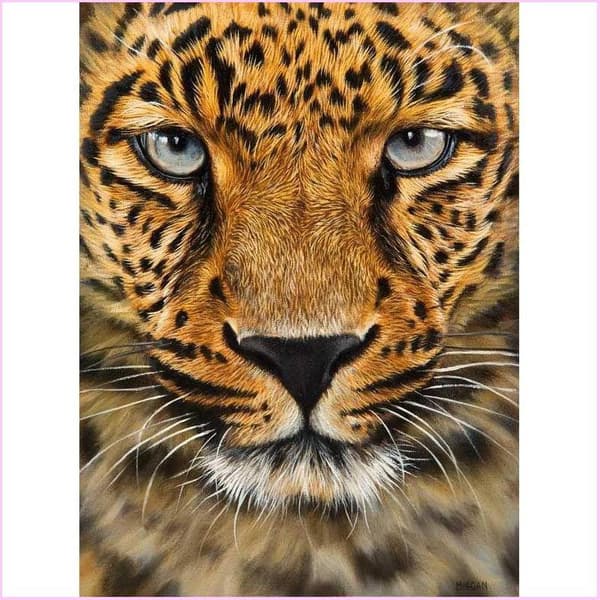 Diamond Painting Fyrkantiga Pärlor 50x70 cm 5D DIY Leopard Djur
