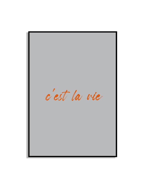 POSTER - c'est la vie