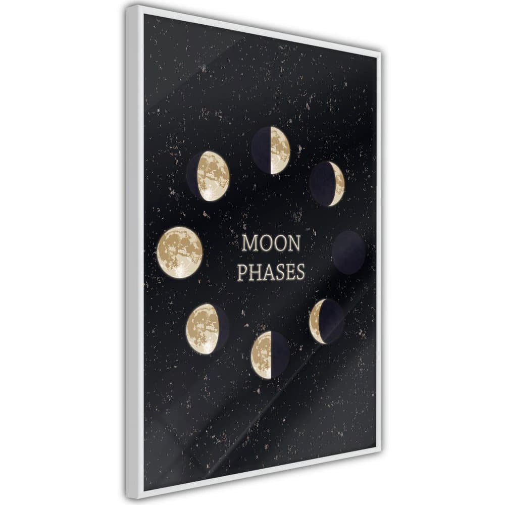 Poster Inramad - Lunar Cycle (Natur)
