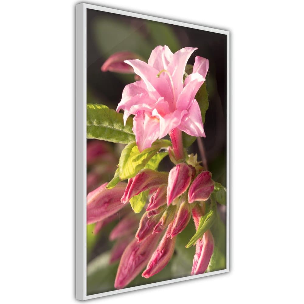 Poster Inramad - Natural Pink (Botaniskt)
