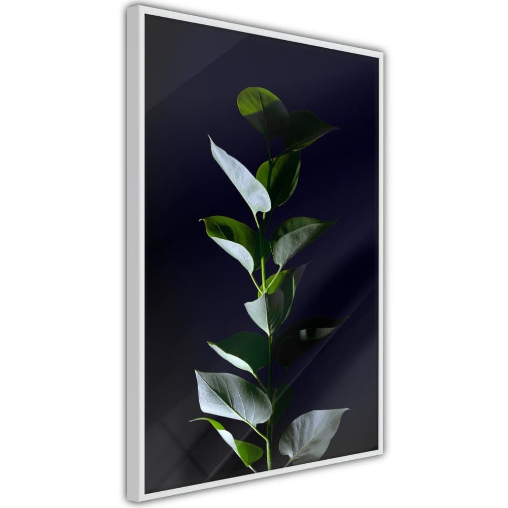 Poster Inramad - In the Moonlight (Botaniskt)