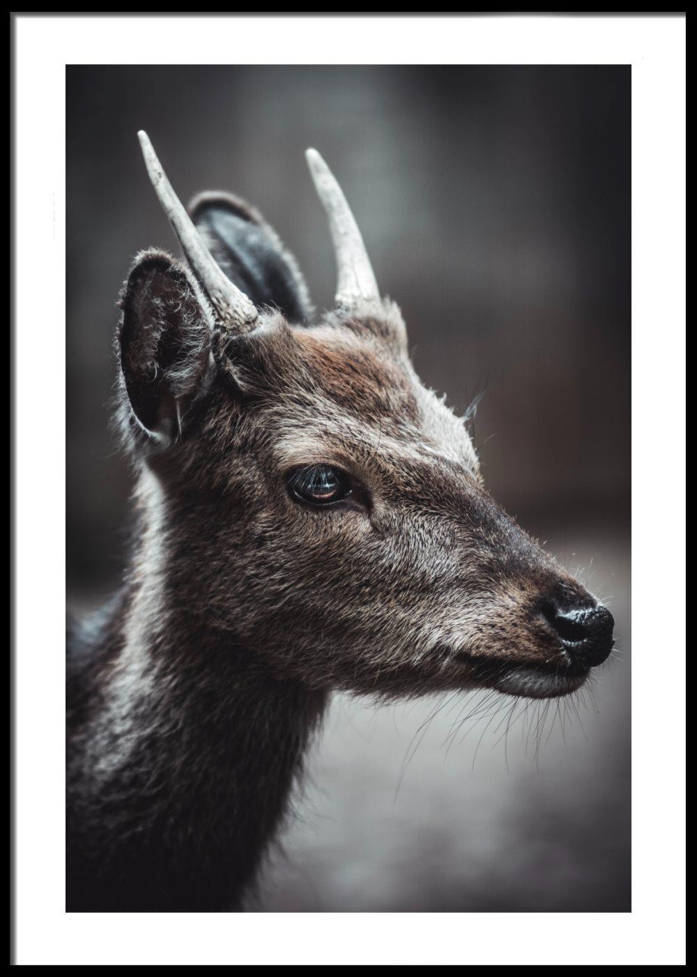 Bambi Poster