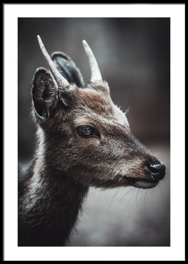 Bambi Poster