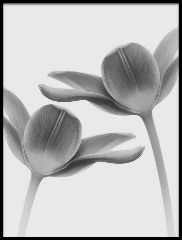 Twice the same Plakat 21x30cm