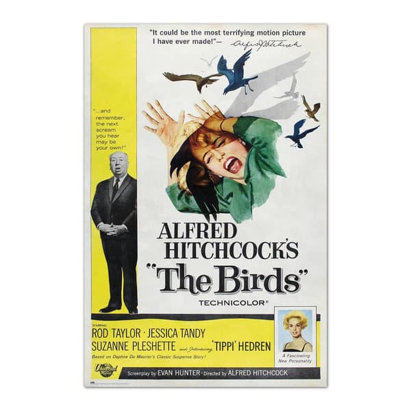 The Birds - Fåglarna - Alfred Hitchcock