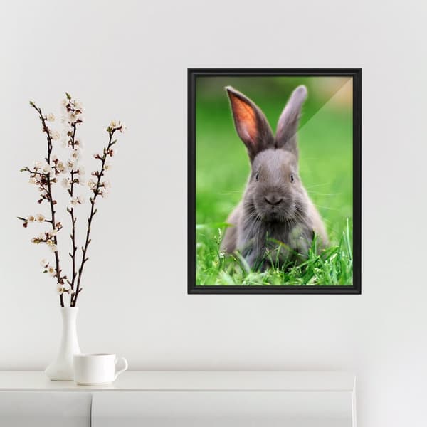 Beregning server sne hvid Baby Kanin Plakat Vægdekoration – Barn Kanin Børnehave Kunstbillede -  Pigeværelse Sødt Dyrefoto - Stort Soveværelse Dekoration Print | CDON