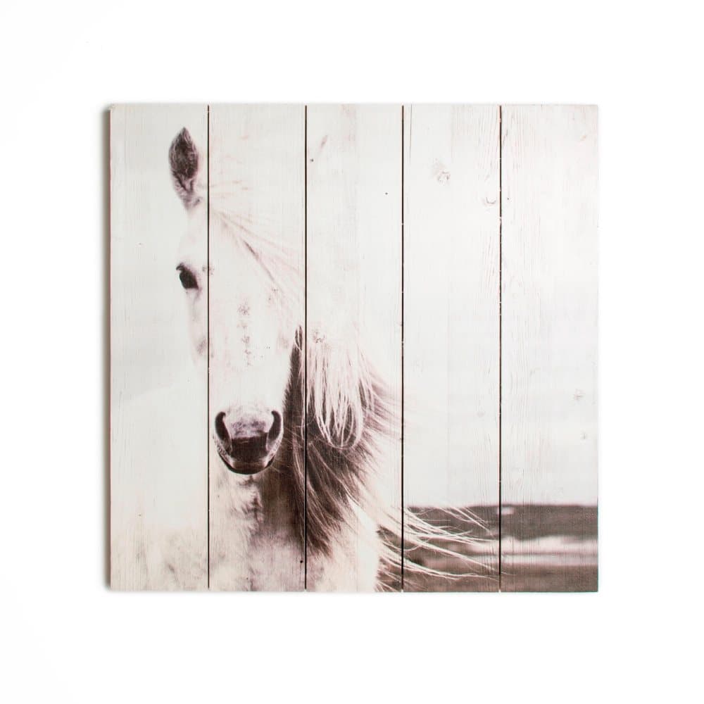 Konst för hemmet - Tryck på trä - Elegant häst - 50x50 cm