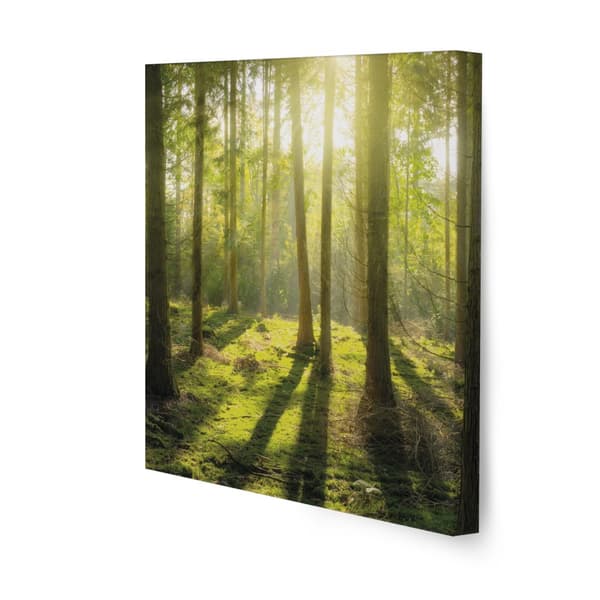 Art for the Home - Lærredssæt med 5 - Ren natur - Grøn stilhed - 80x60 cm