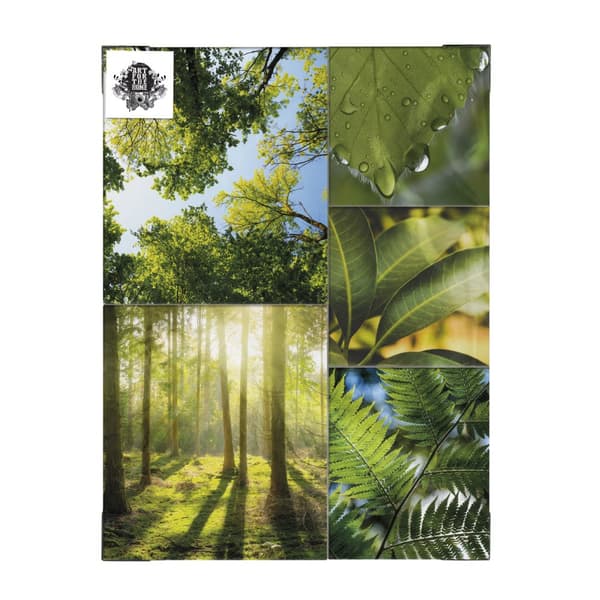 Art for the Home - Lærredssæt med 5 - Ren natur - Grøn stilhed - 80x60 cm