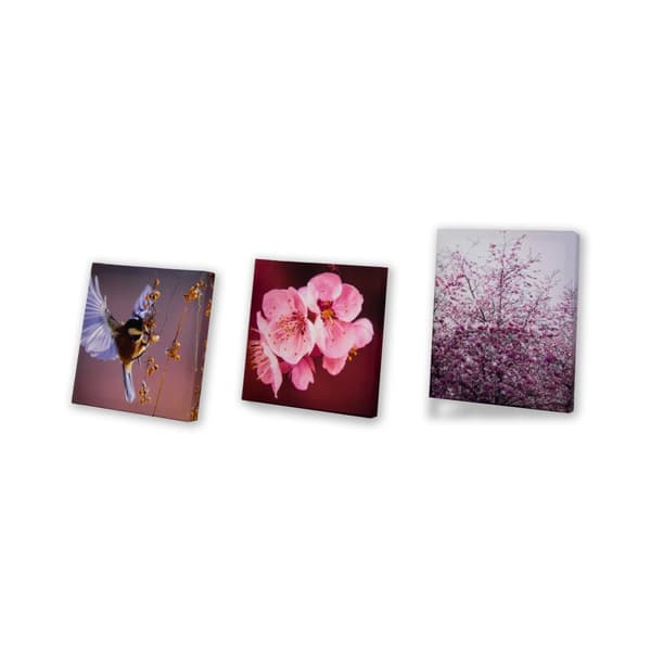 Art for the Home - Canvas Set om 5 - Soft Temptation - Sea of Flowers - 80x60cm