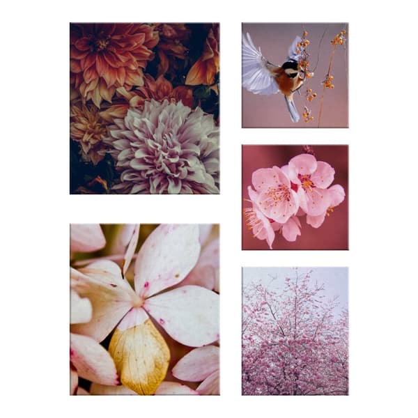 Art for the Home - Canvas Set om 5 - Soft Temptation - Sea of Flowers - 80x60cm