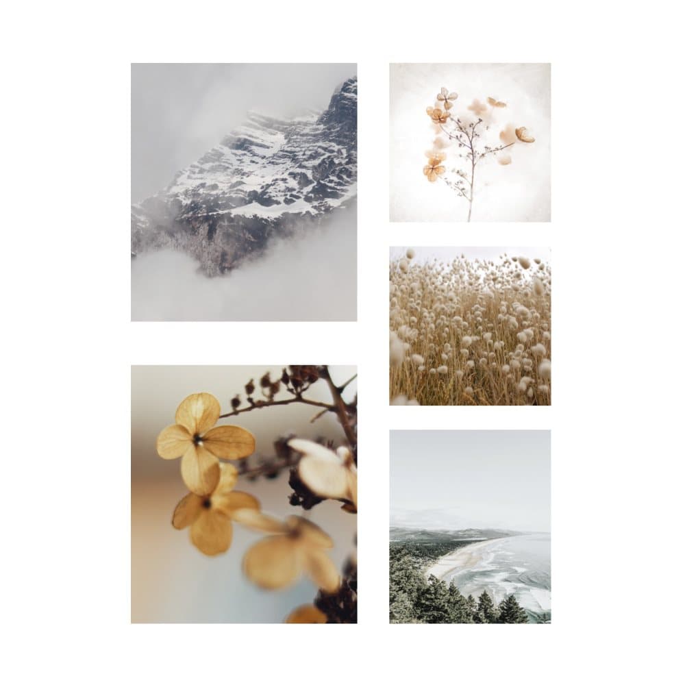 Art for the Home - Canvas Set om 5 - Mysig balans - Zen - 60x80 cm