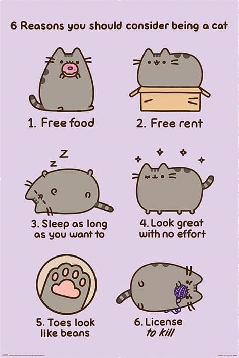 Pusheen (Reasons to be a Cat)