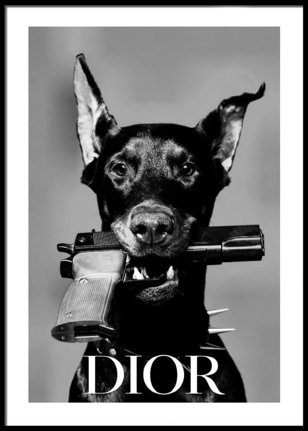 Dior Dog Poster 30x40cm