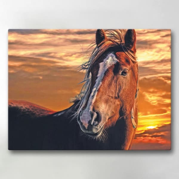 Lærredsbillede / Lærredstryk - Hest - 40x30 cm - Lærred