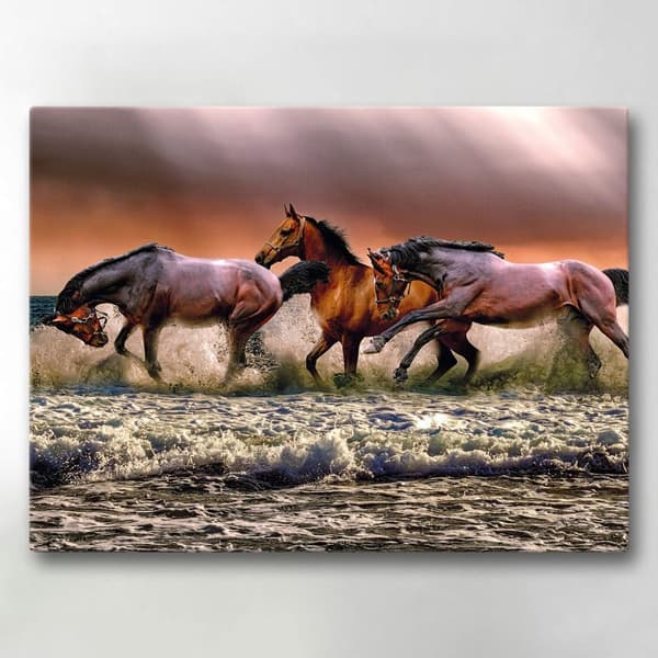 Lærredsbillede / Lærredstryk - Hest - 40x30 cm - Lærred
