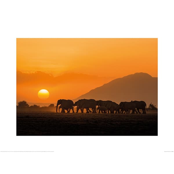 Mario Moreno Amboseli Sunset Poster Orange/Black 60cm x 80cm