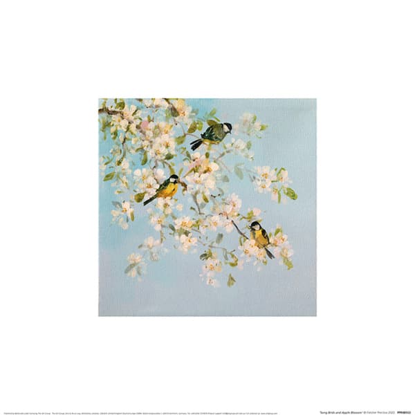 Fletcher Prentice Song Birds And Apple Blossom Poster Blue/White/Yellow 30cm x 30cm