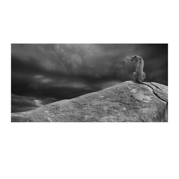 Paper Mario Cheetah On The Rocks Poster