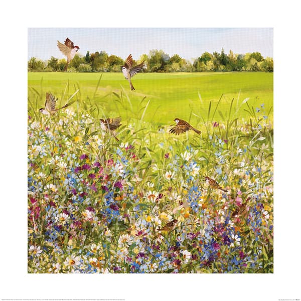 Fletcher Prentice Open Meadow Poster Multicoloured 60cm x 60cm