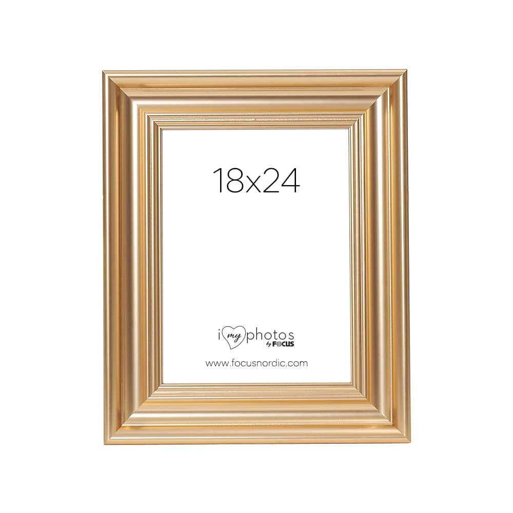 Focus Charleston Gold 18x24