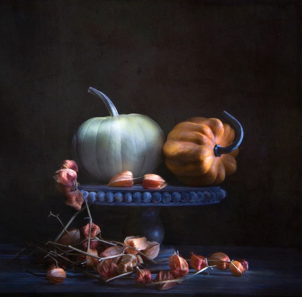 Pumpkin &Amp Chinese Lanterns Poster