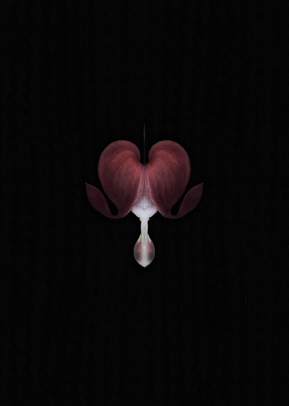 Flower Heart Poster