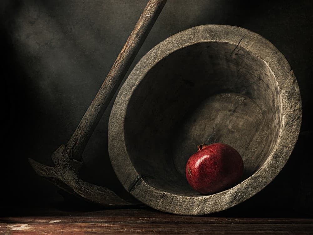 Plate And Hoe. Poster