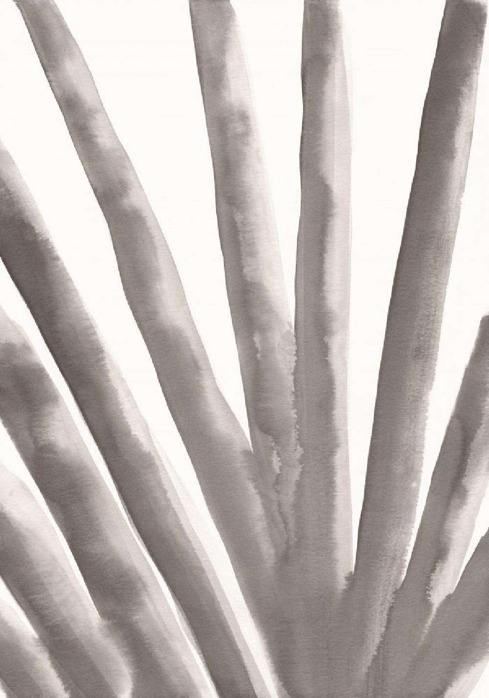 Aloe Vera Poster