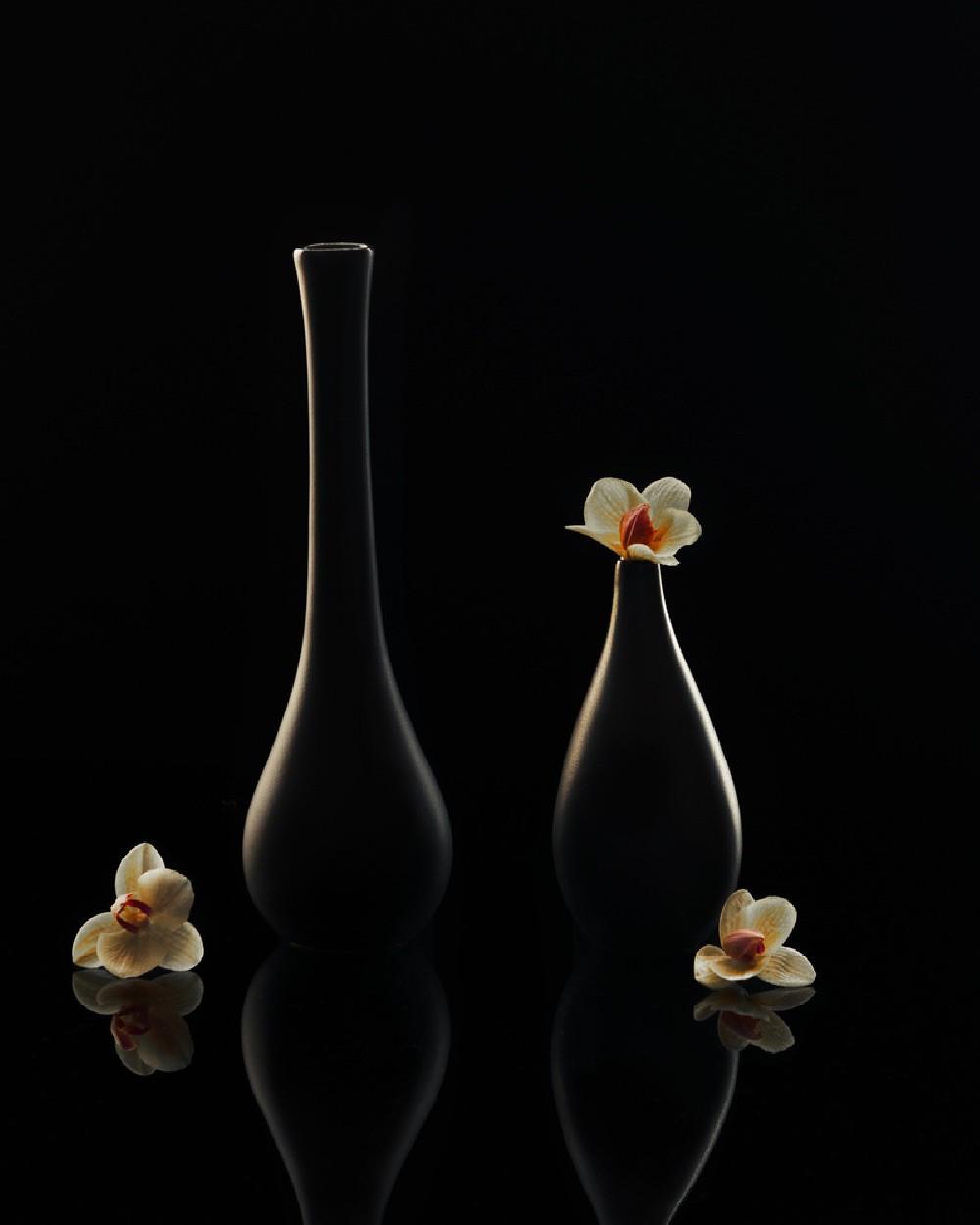 Elegant Orchid Poster