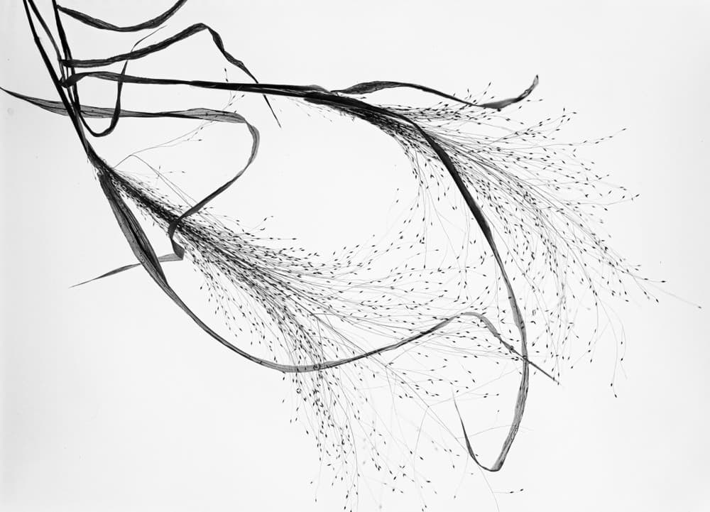 Falling In Love With Elegance . Poster